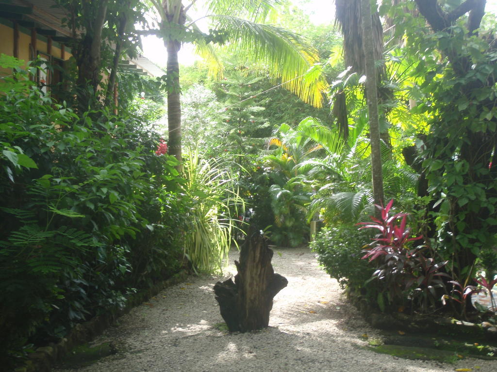 Pachamama Tropical Garden Lodge Malpais Zewnętrze zdjęcie