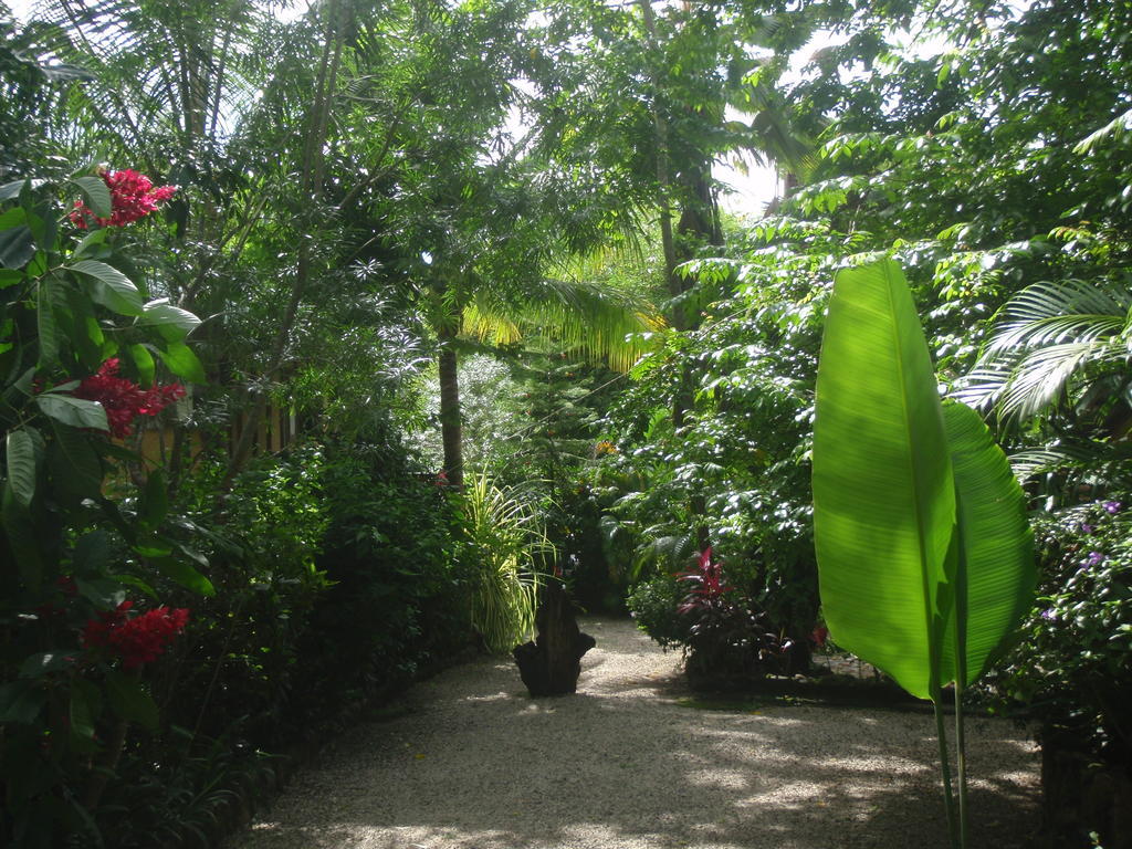 Pachamama Tropical Garden Lodge Malpais Zewnętrze zdjęcie