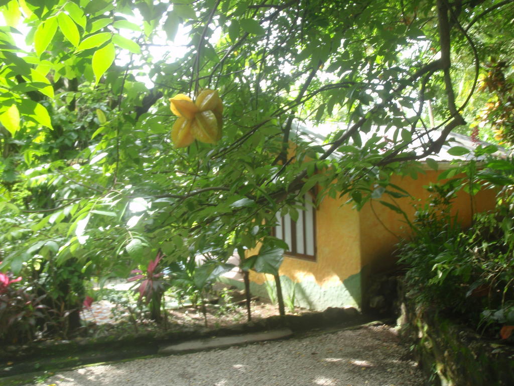 Pachamama Tropical Garden Lodge Malpais Pokój zdjęcie