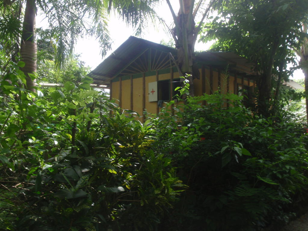 Pachamama Tropical Garden Lodge Malpais Pokój zdjęcie
