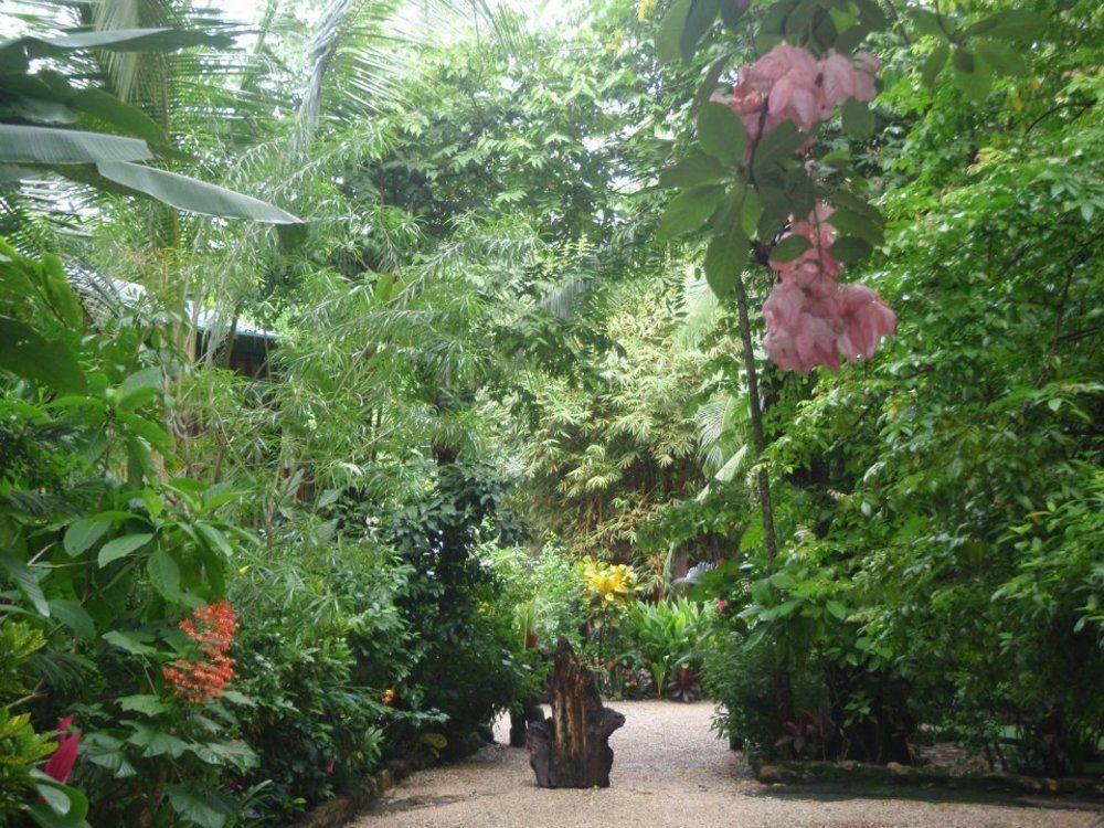 Pachamama Tropical Garden Lodge Malpais Zewnętrze zdjęcie